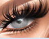 EVD Long Lashes