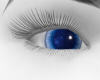MI Blue Glass Eyes 2