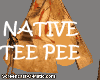 Teepee Native American 1