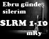 Ebru Gündes-Silerim