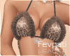 Kitten Set Brown