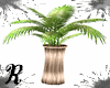 ROSE/Plant Vase