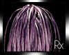 Rx. Weeping Tree Purple