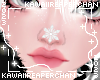 K| Nose Snowflake Snow