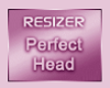Head Perfect Resize