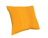 Autumn  Color Pillow