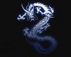 long silk tshirt dragon