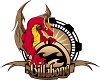 billabong dragon logo