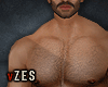 Z| Real Body & Hair v2