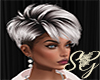 *SG* Silver Fox