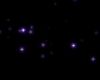 PURPLE PARTICLE LIGHTS