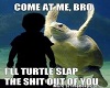 come at me bro turtle
