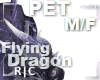 R|C Fly Dragon Grey M/F