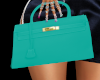 Light Blue Birkin