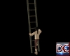 [H] Wooden Ladder