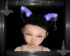 My Purple Cat Ears