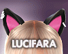 Sweet Cat Noir Ears