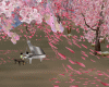 Lone Piano Sakura Garden