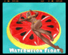 *Watermelon Float