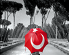 Turkish picture