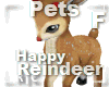 R|C Reindeer Brown F
