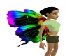 *LL* Rainbow wings