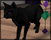 Mysty Black Cat ~