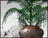 *82 Large Potted Fern