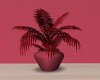 .D. Girly room Plant