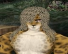 Leopard Hair Male
