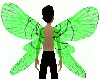 Blk Grn Fairy Wings