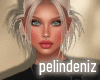 [P] Cleire bear bundle