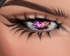 Orange Sherbert Eyes M/F