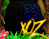 xOz Designer Fade Shorts