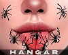 H. Spider Face
