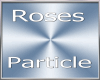 RosesParticle /ro1-6