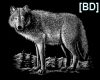 [BD] Black Wolf Picture