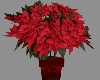 Christmas Red Poinsettia