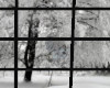 Falling snow window