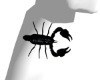Matth Scorpio