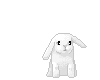 White Bunny