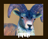 Goat [Mx.]