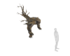Tree Golem Creature