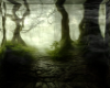 Mystical Forest Bg