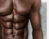 ROMAN Skin