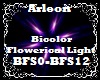 Bicolor Flowerical Light