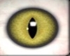 Female Cat eyes