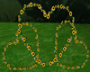 sunflower hearts