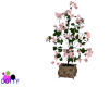 pink magnolia plant