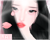 [Ext/Anim] Flying Black